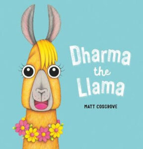 Dharma the Llama Matt Cosgrove