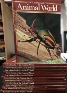 Encyclopaedia of the Animal World - 12 books Bay Books